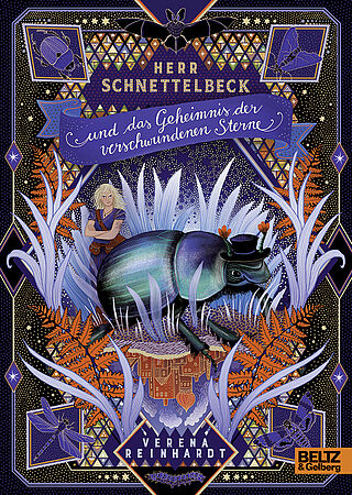 Mr. Schnettelbeck and the Secret of the Vanished Stars